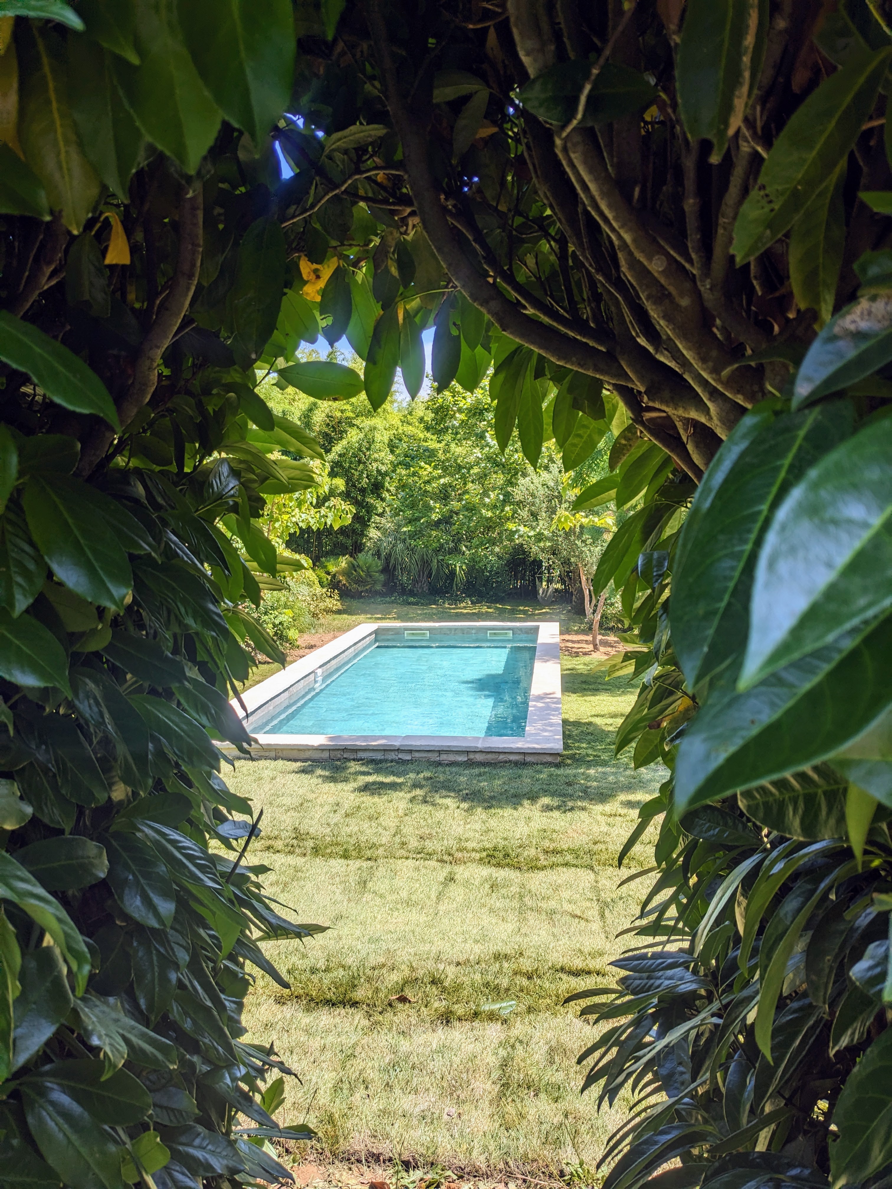 La petite bourdotte, Laurède - photo 9