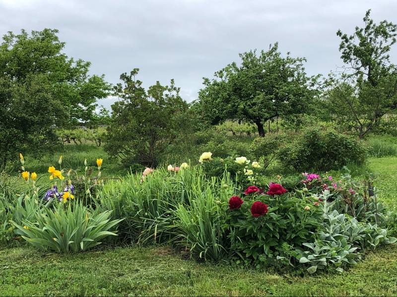 Parc botanique du bourg Joly - photo 2