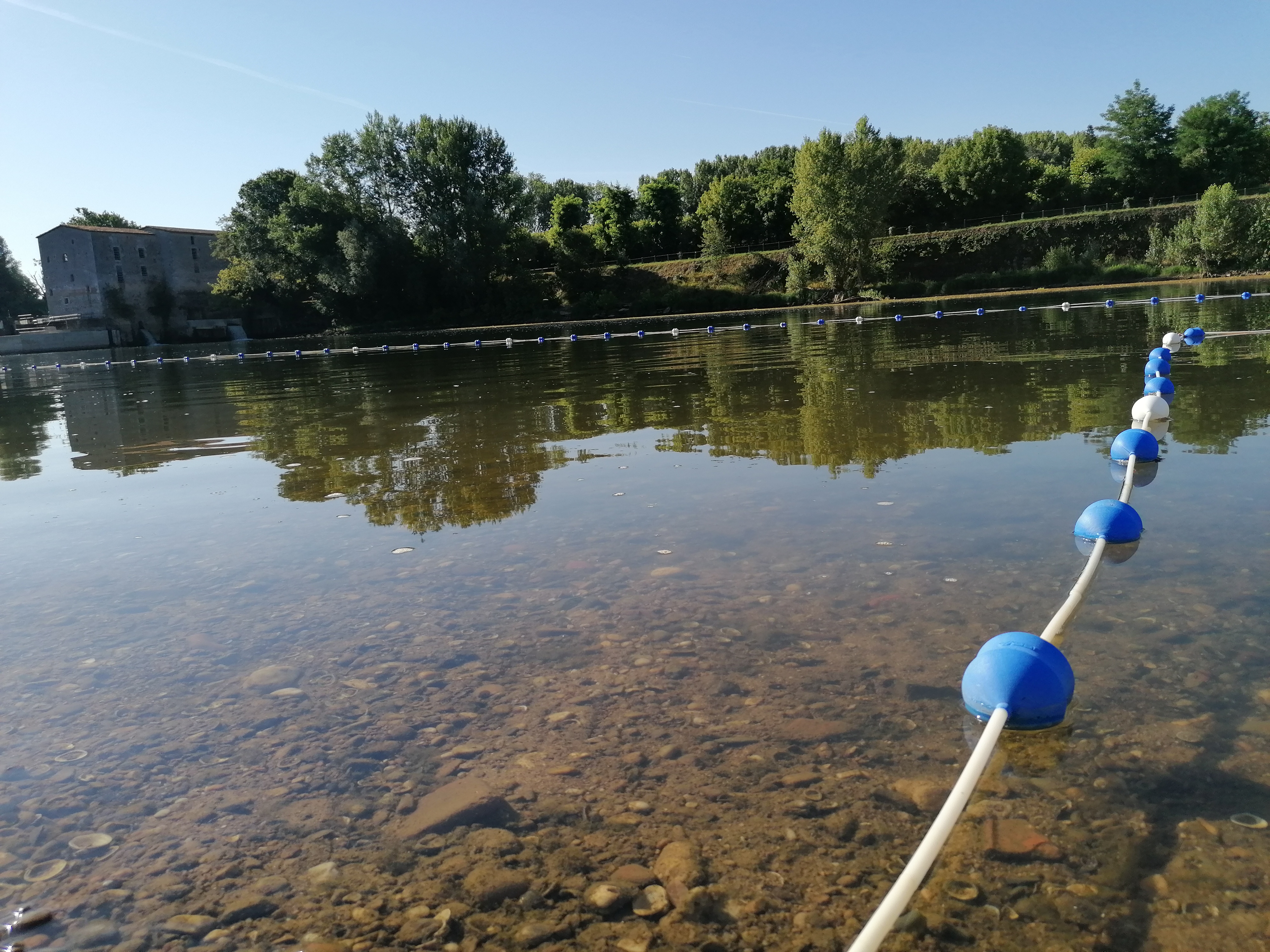 Plage sur le Lot à Aiguillon, Aiguillon