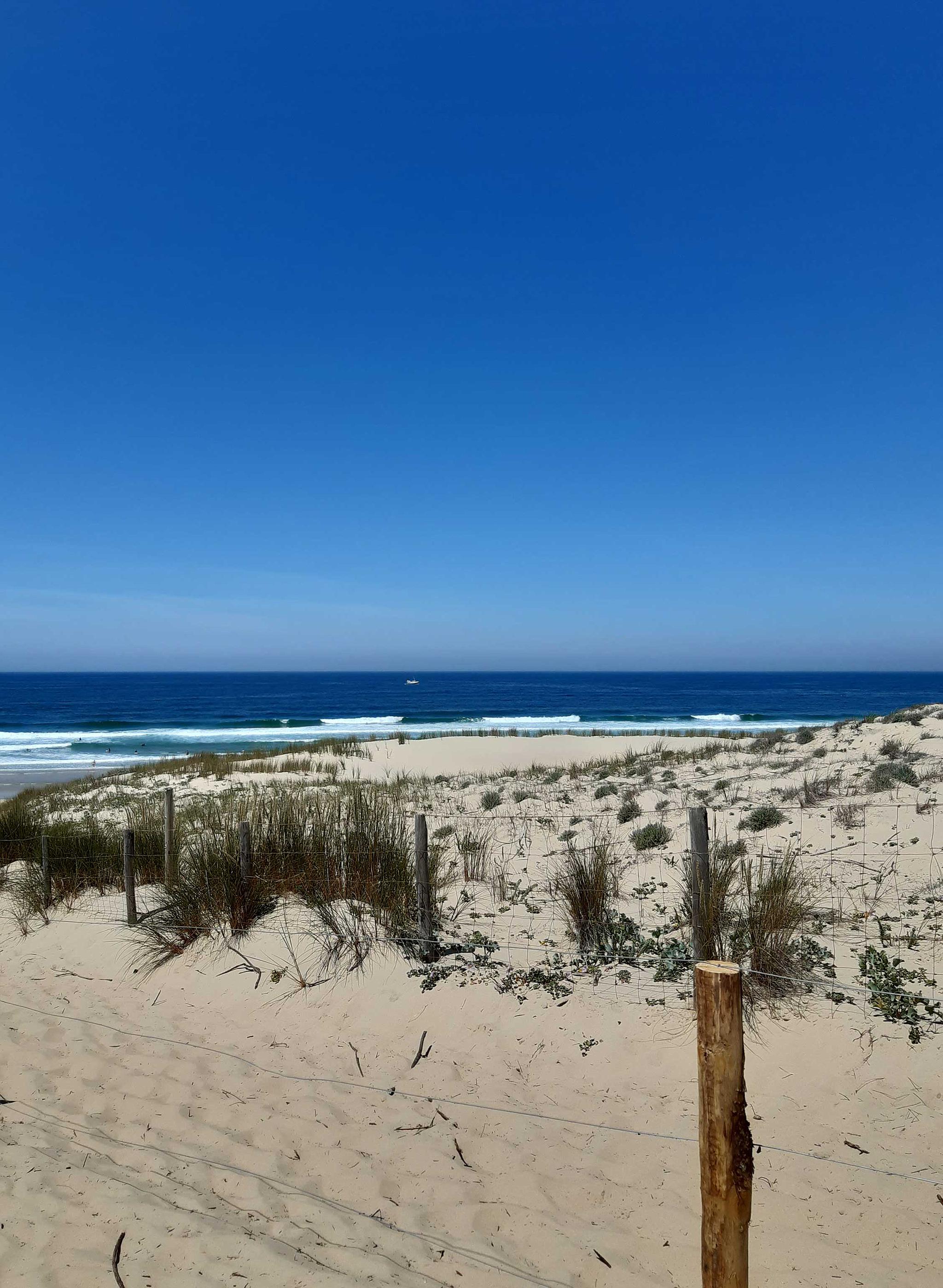 Gîte Les 2 Pins, Audenge - photo 19