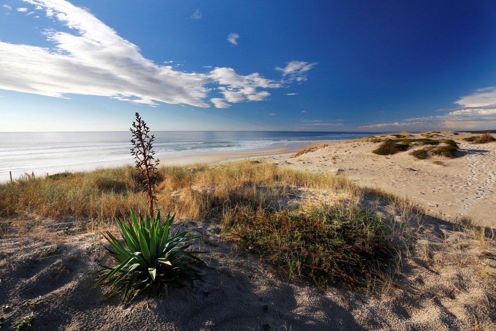 Plage du Vivier — Playas y Litoral à Landes