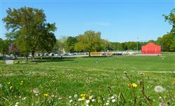 Plaine des sports - Lons - prairie