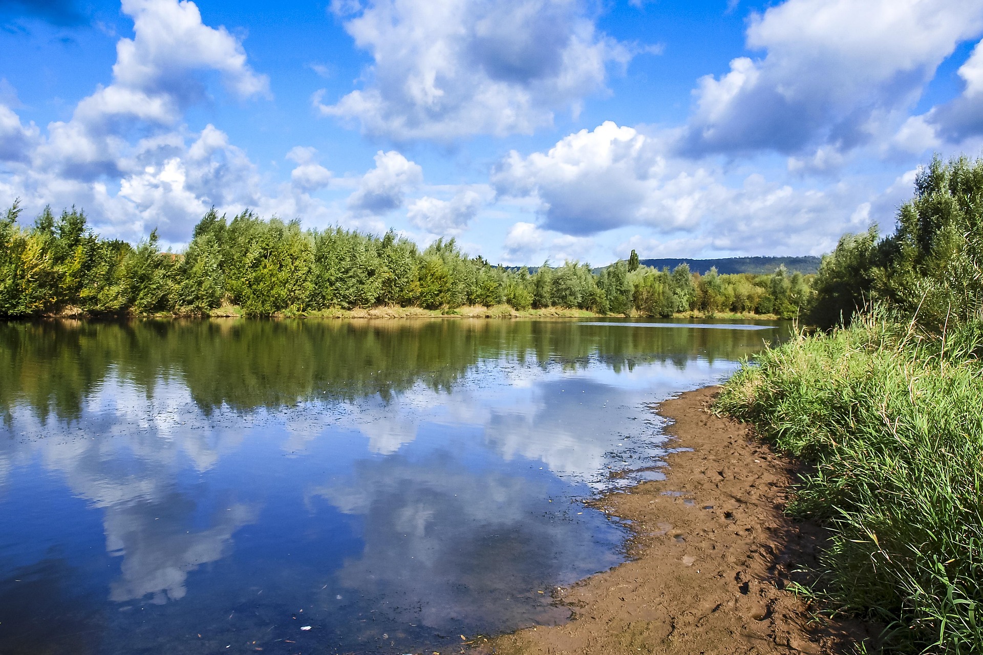 Sortie nature avec le CEN Nouvelle-Aquitaine — visuel événement