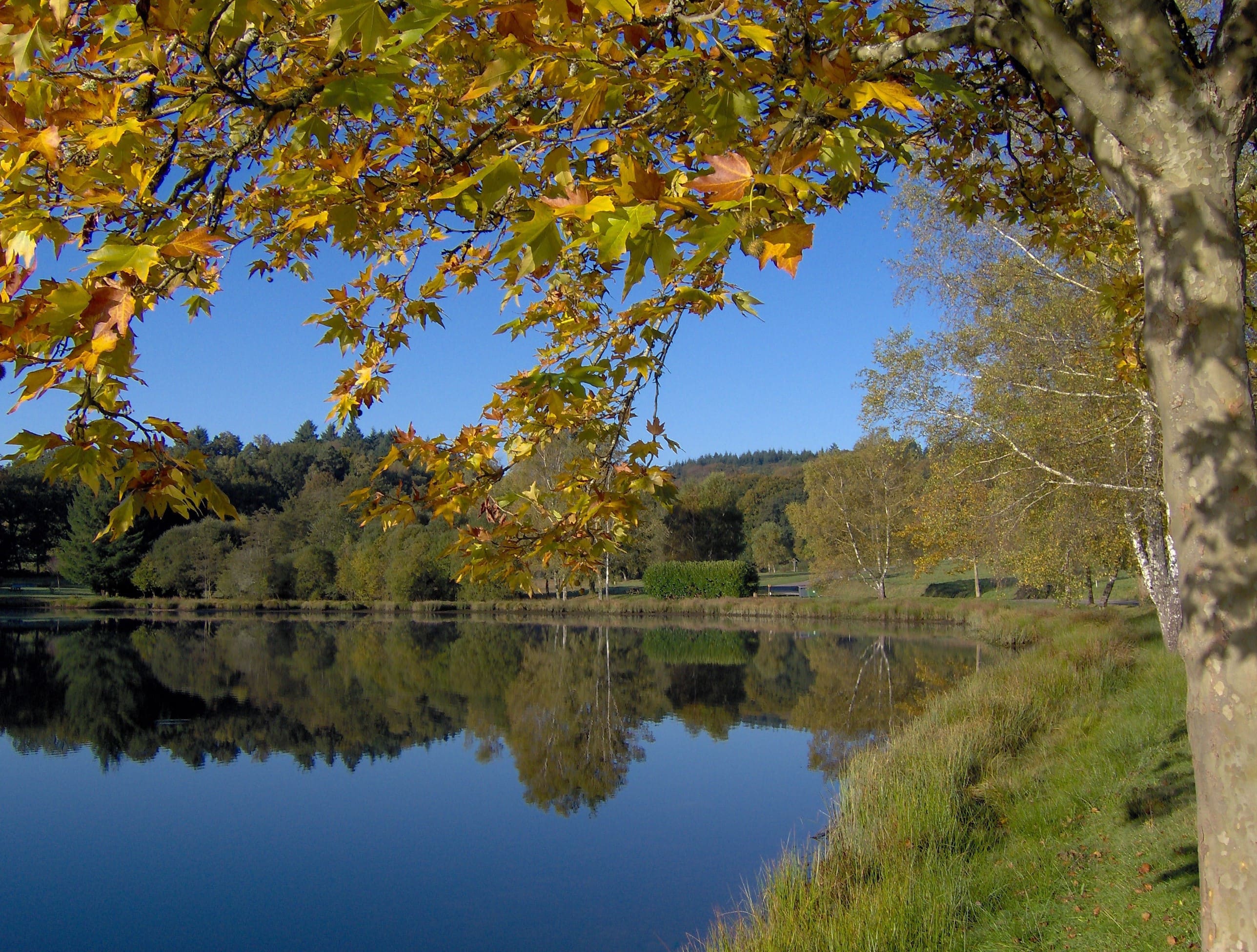 Plan d’eau communal de La Planche, Sauviat-sur-Vige - photo 4