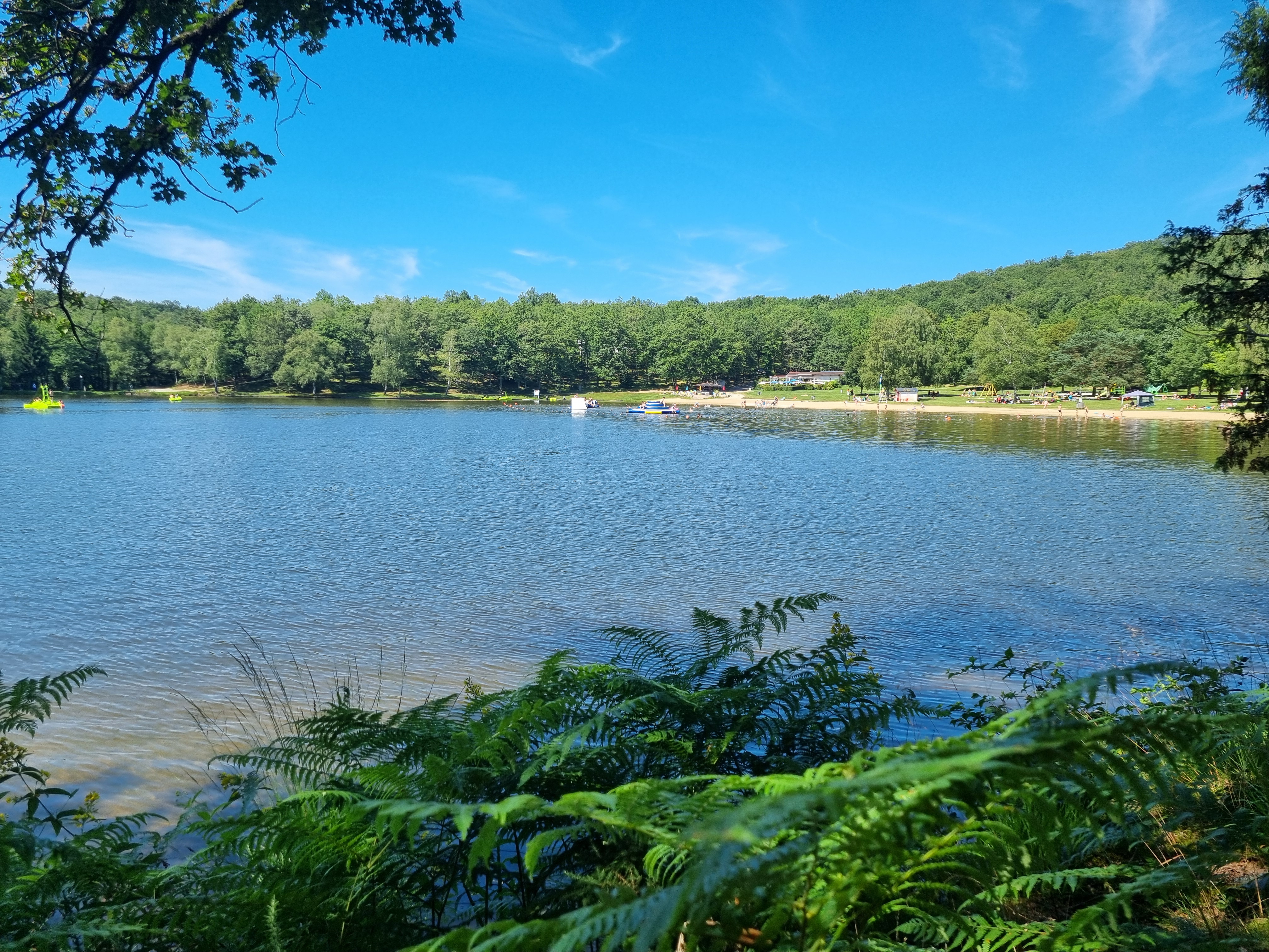 Forêt de Montard - photo 4