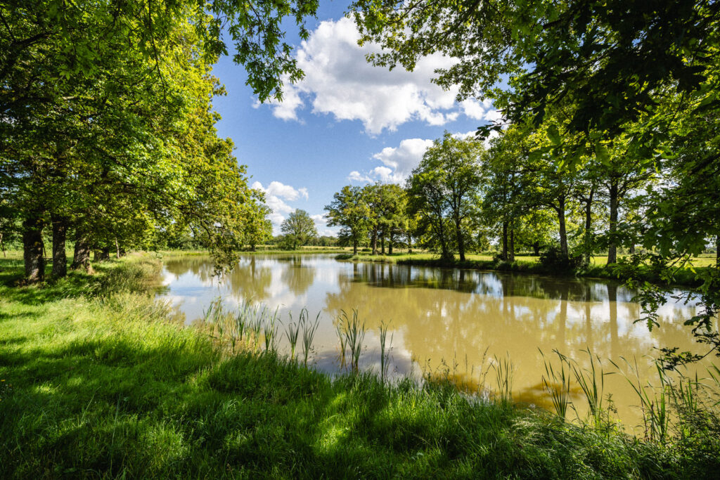 Aire de pique nique - Plan d'eau de Saint-Rémy