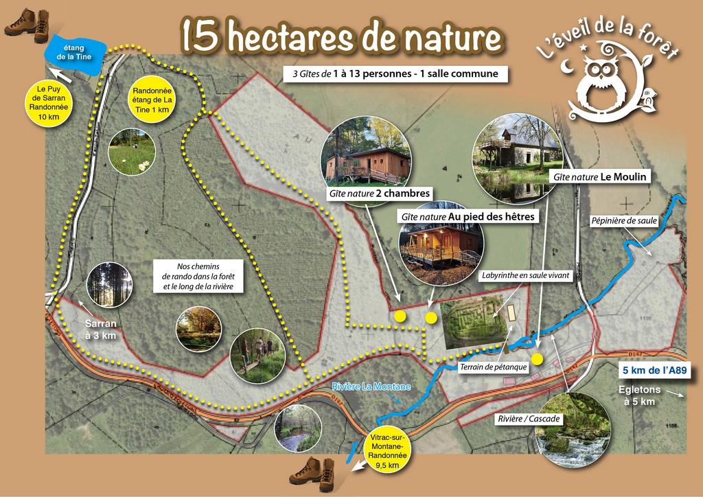 L'Eveil de la Forêt - gîte Nature, Sarran - photo 7