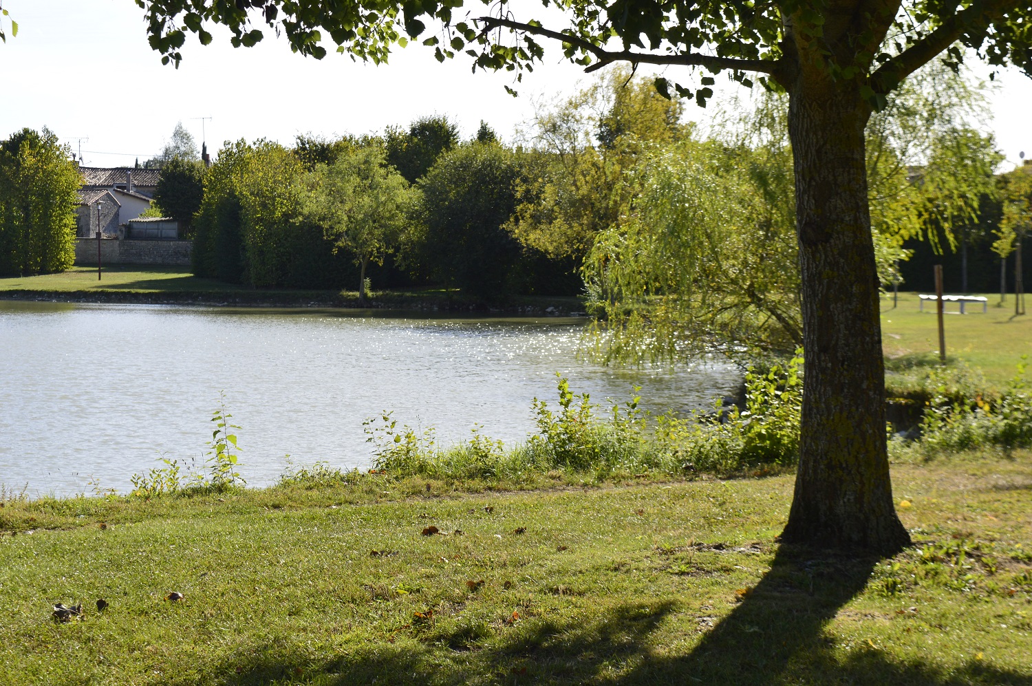 Etang de Chef-Boutonne