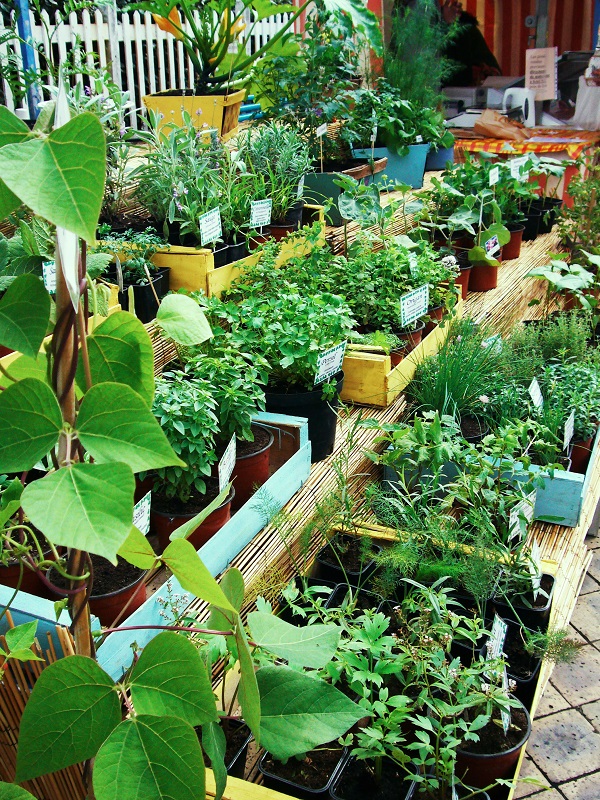 Marché de l'Aiguillon