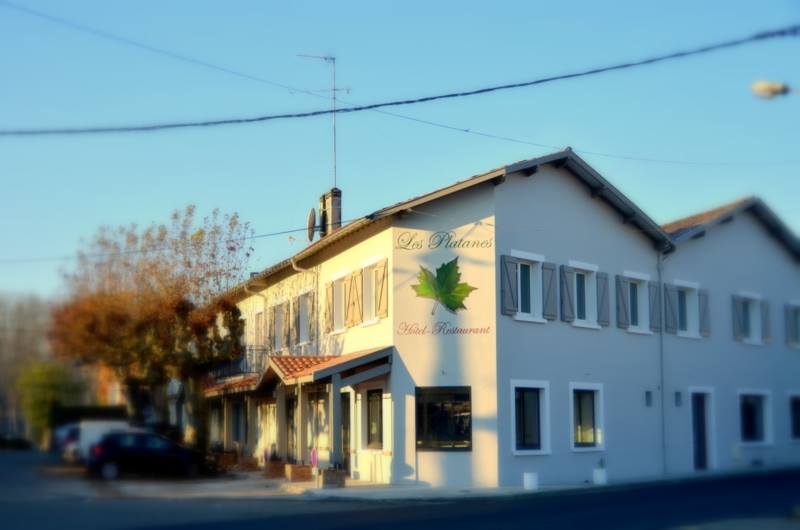 Les Platanes - photo 4