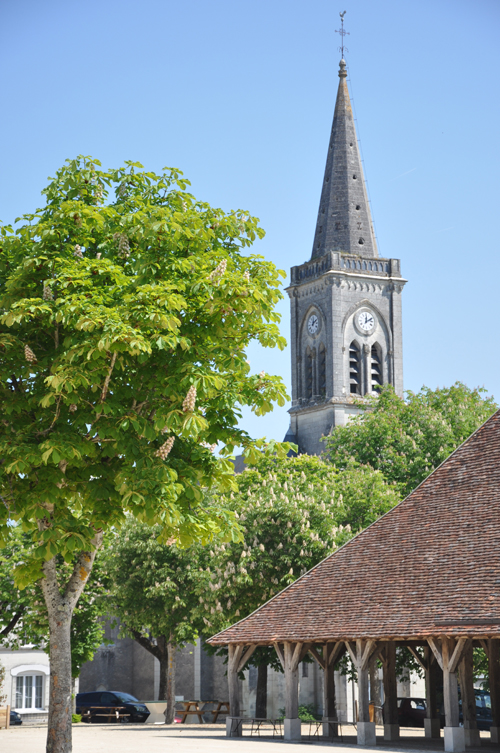 Halle de Pleumartin, Pleumartin - photo 2