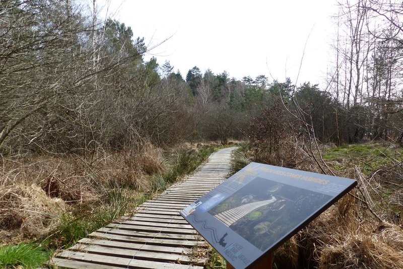 Promenons-nous sur le sentier de l'étang