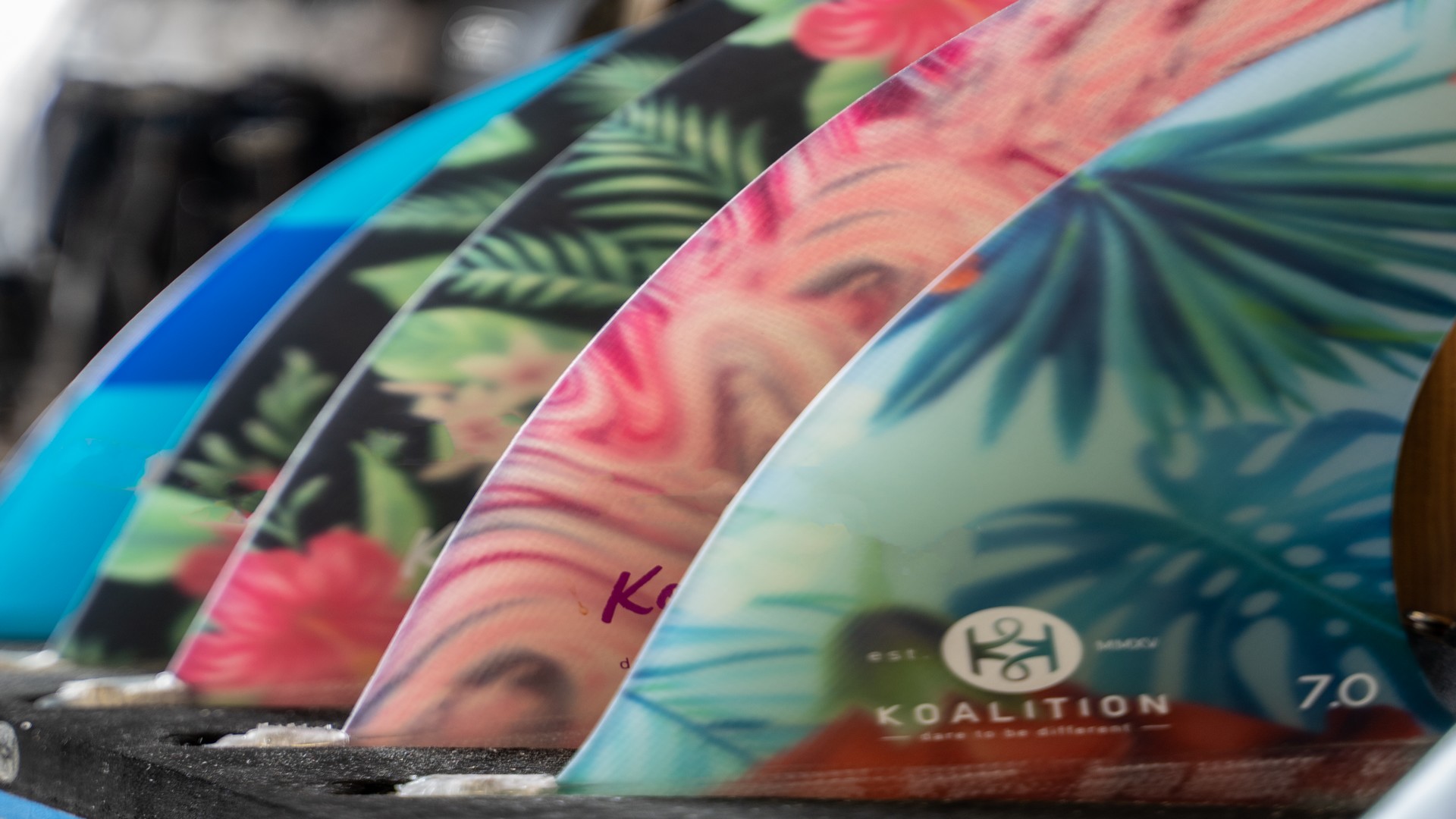 Point Break - photo 5