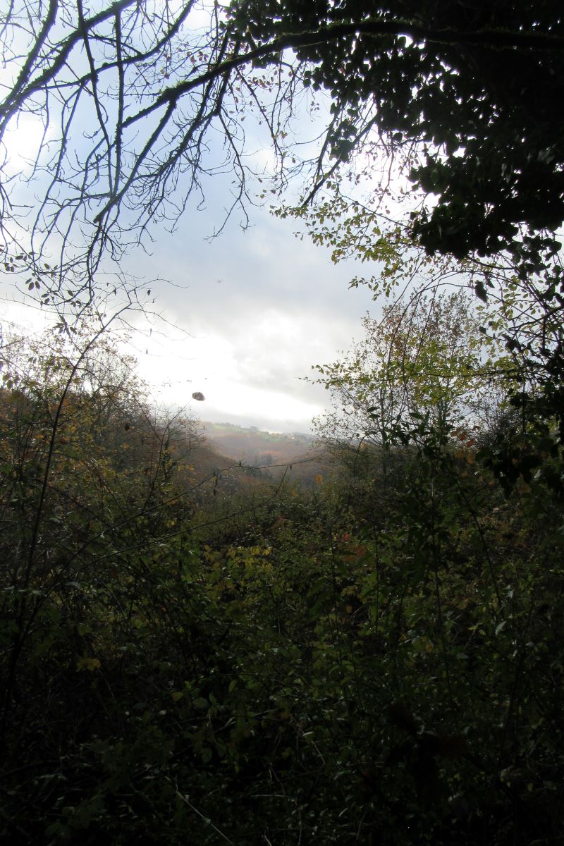 Boucle de la Fontaine des Graves - photo 2
