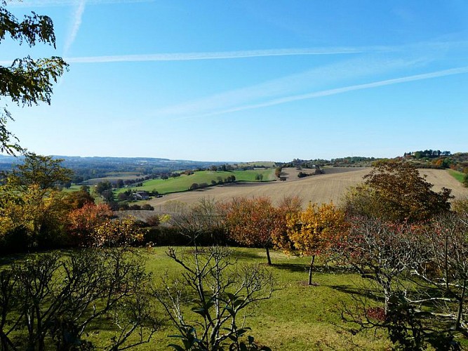 Point de vue sur la Vallée de la Dronne à la terrasse de Montagrier, Montagrier
