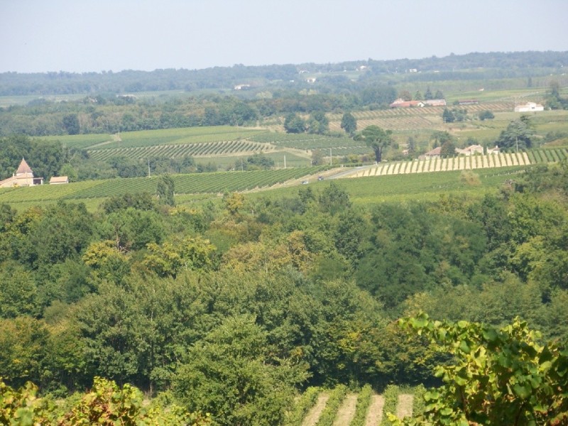 Château Haut Domingue