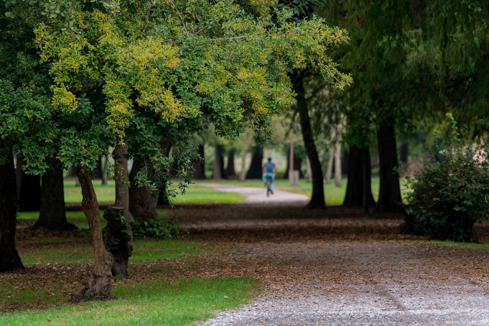 La pointe des vergnes, Soustons - photo 5
