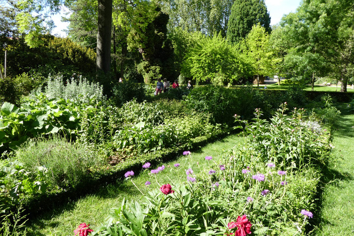 Jardin des Plantes