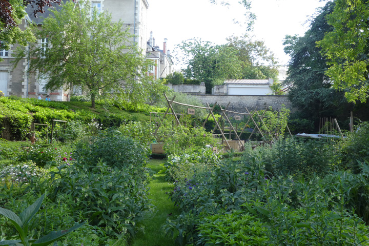 Jardin des Plantes, Poitiers - photo 4