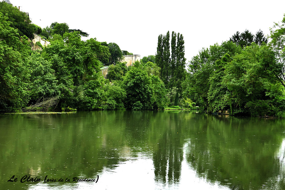 Les Jardins du Clain, Poitiers - photo 8