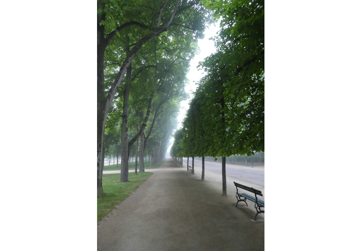 Parc de Blossac, Poitiers - photo 7