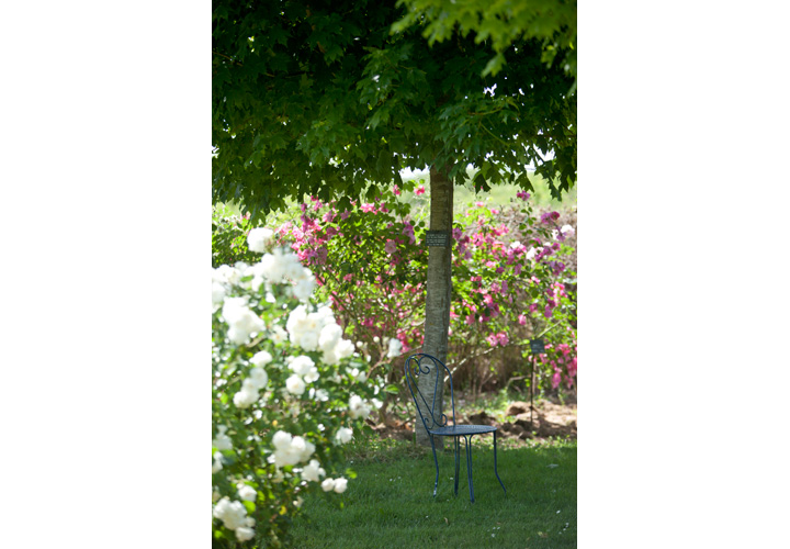Parc Floral de La Roseraie, Poitiers - photo 6