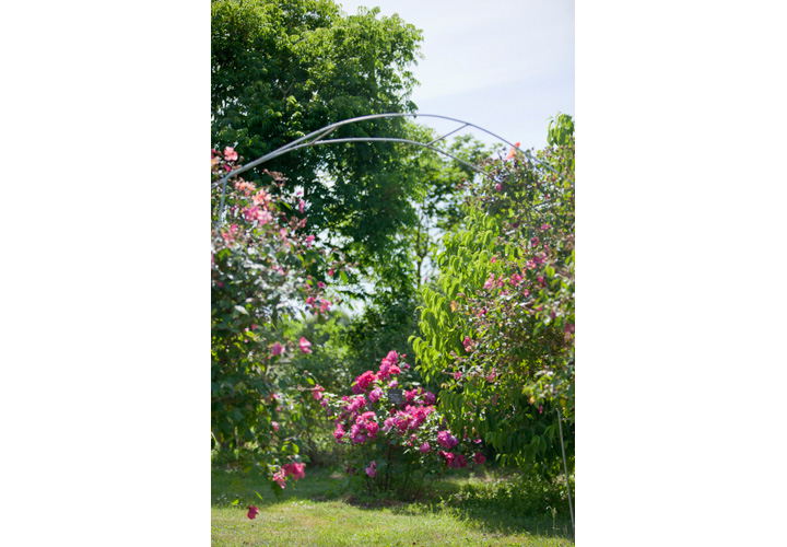 Parc Floral de La Roseraie, Poitiers - photo 8