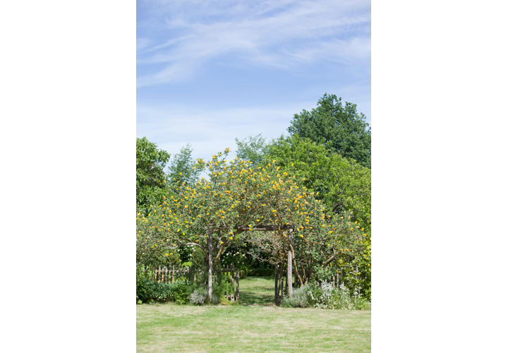 Parc Floral de La Roseraie, Poitiers - photo 9
