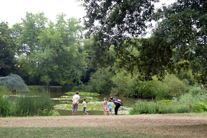Parc Floral de La Roseraie, Poitiers - photo 10