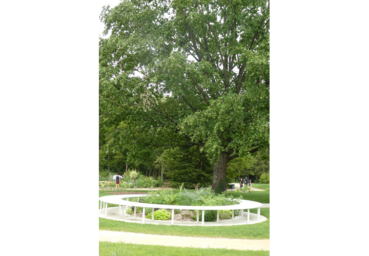 Parc Floral de La Roseraie, Poitiers - photo 2