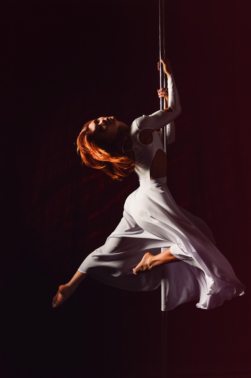 Domaines du Moulin Authier : Show et découverte Pôle Dance — visuel événement