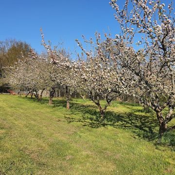 La Ferme du Puy — photo 3