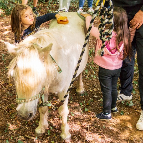 Eté actif - balade à poney, Lanouaille - photo 6