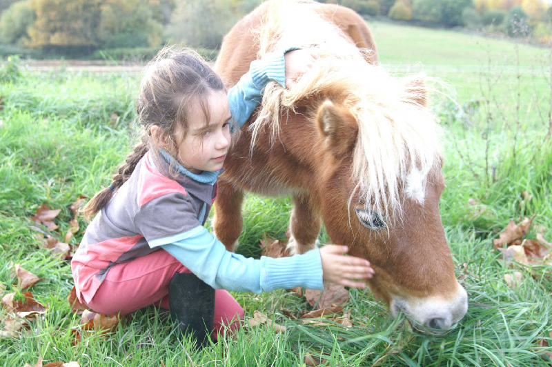 Poney Club Arc en Ciel - photo 2