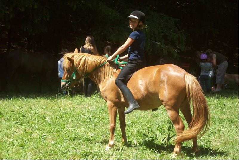 Poney Club Arc en Ciel - photo 4