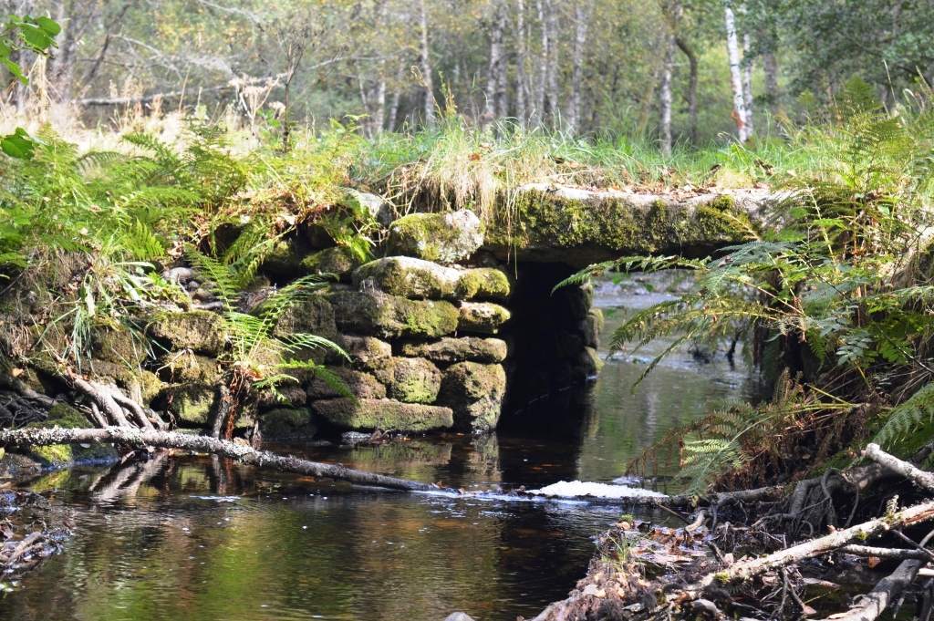Au coeur du Plateau - 2 km, Saint-Merd-les-Oussines - photo 3