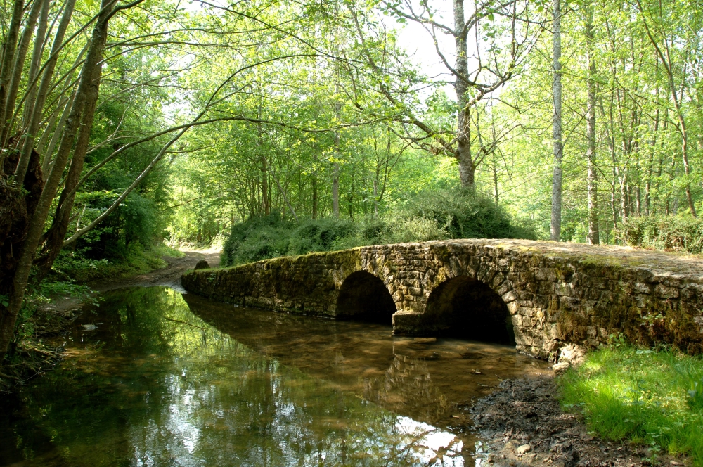 Chasse aux trésors Tèrra Aventura : "Papiste fait de la résistance" - photo 2
