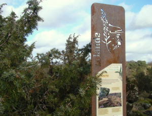 Landes serpentinicoles des Pierre du Mas, La Porcherie