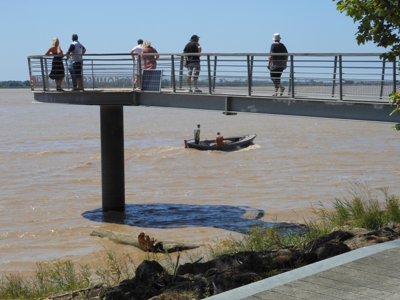 L'Estuaire de la Gironde et ses îles - photo 3