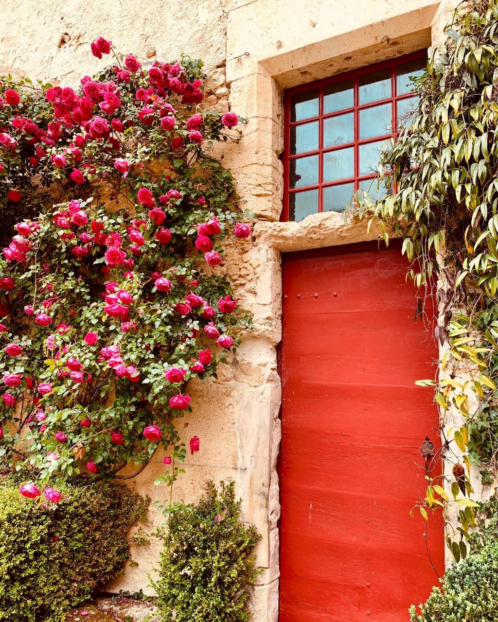 Château de Neuvic, Neuvic - photo 8