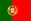 Portuguese Portuguese