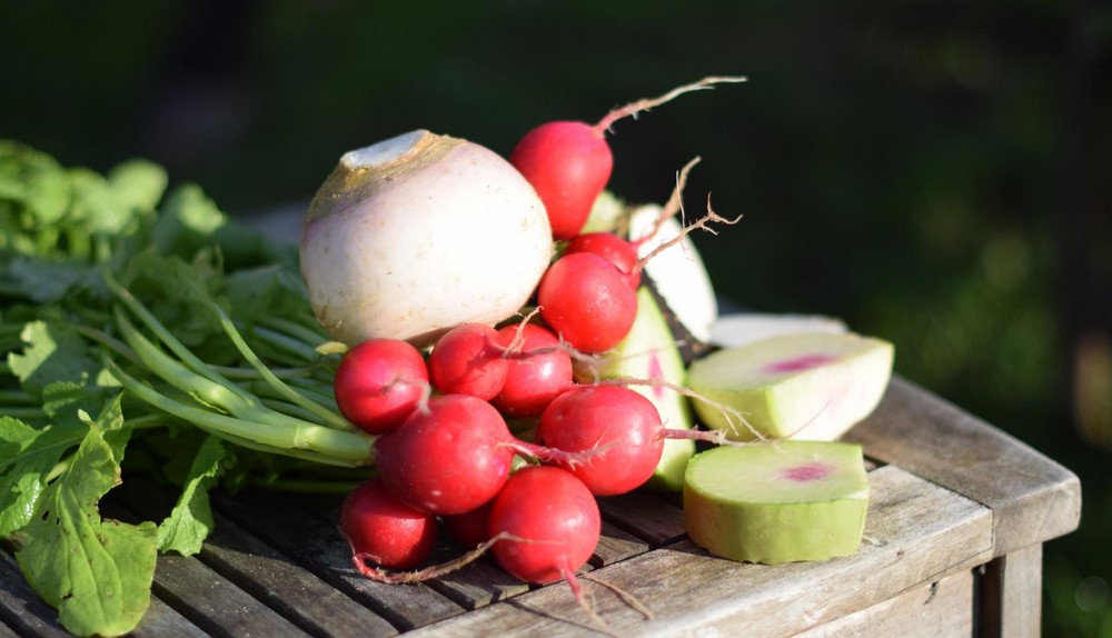 Les Potagers de la Lande