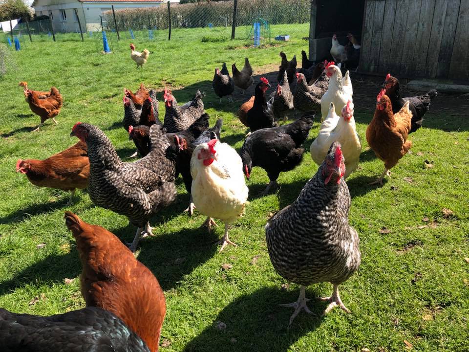 La Ferme Bidaud