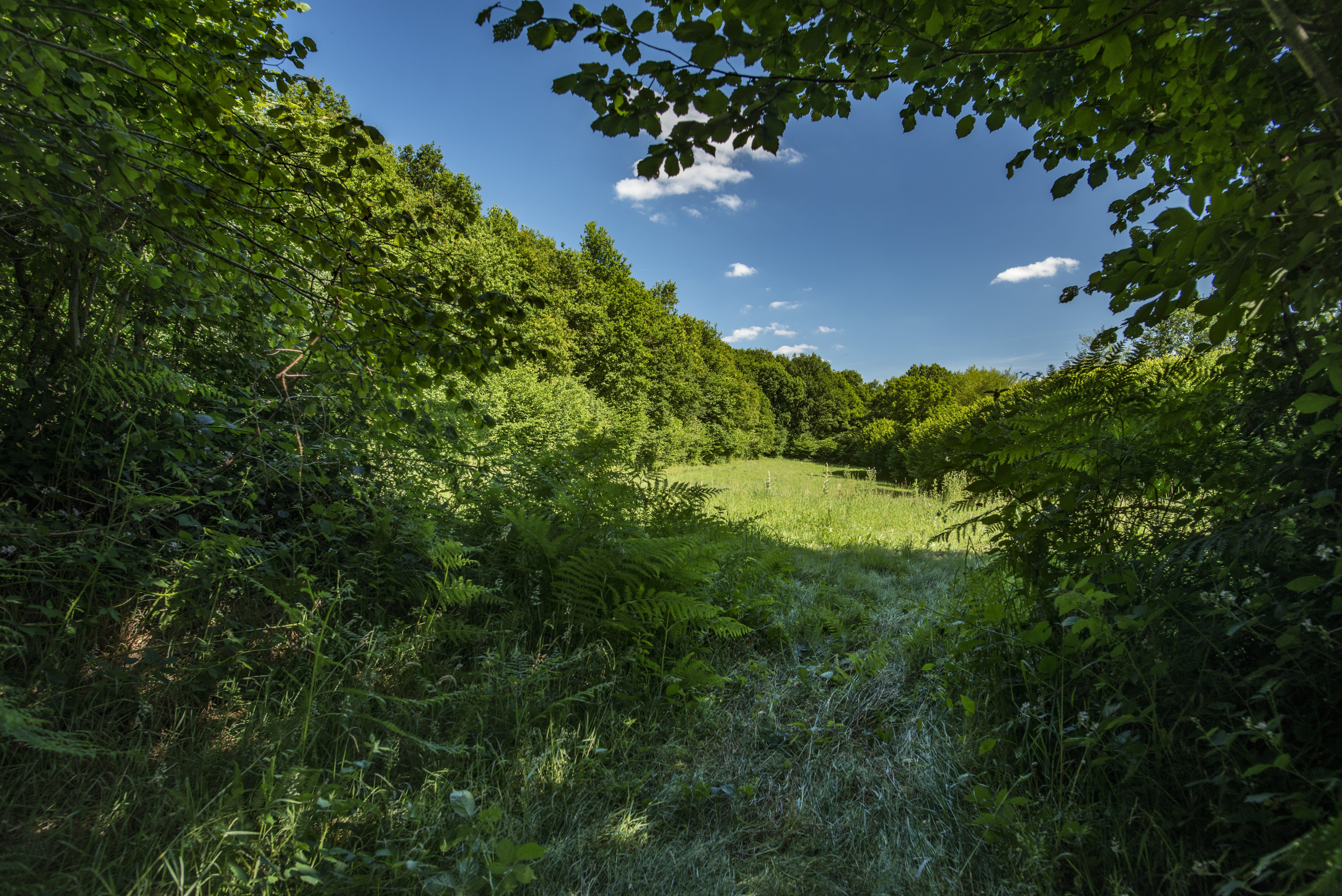Gîte "La Cabrette", Pompaire - photo 9