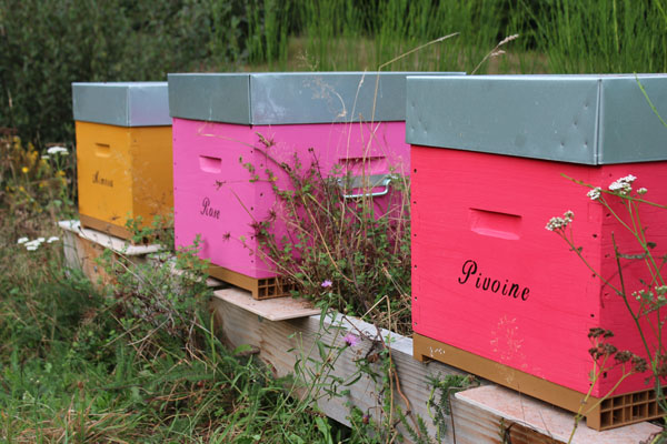 Miel La Prairie d'Abelia — photo 3
