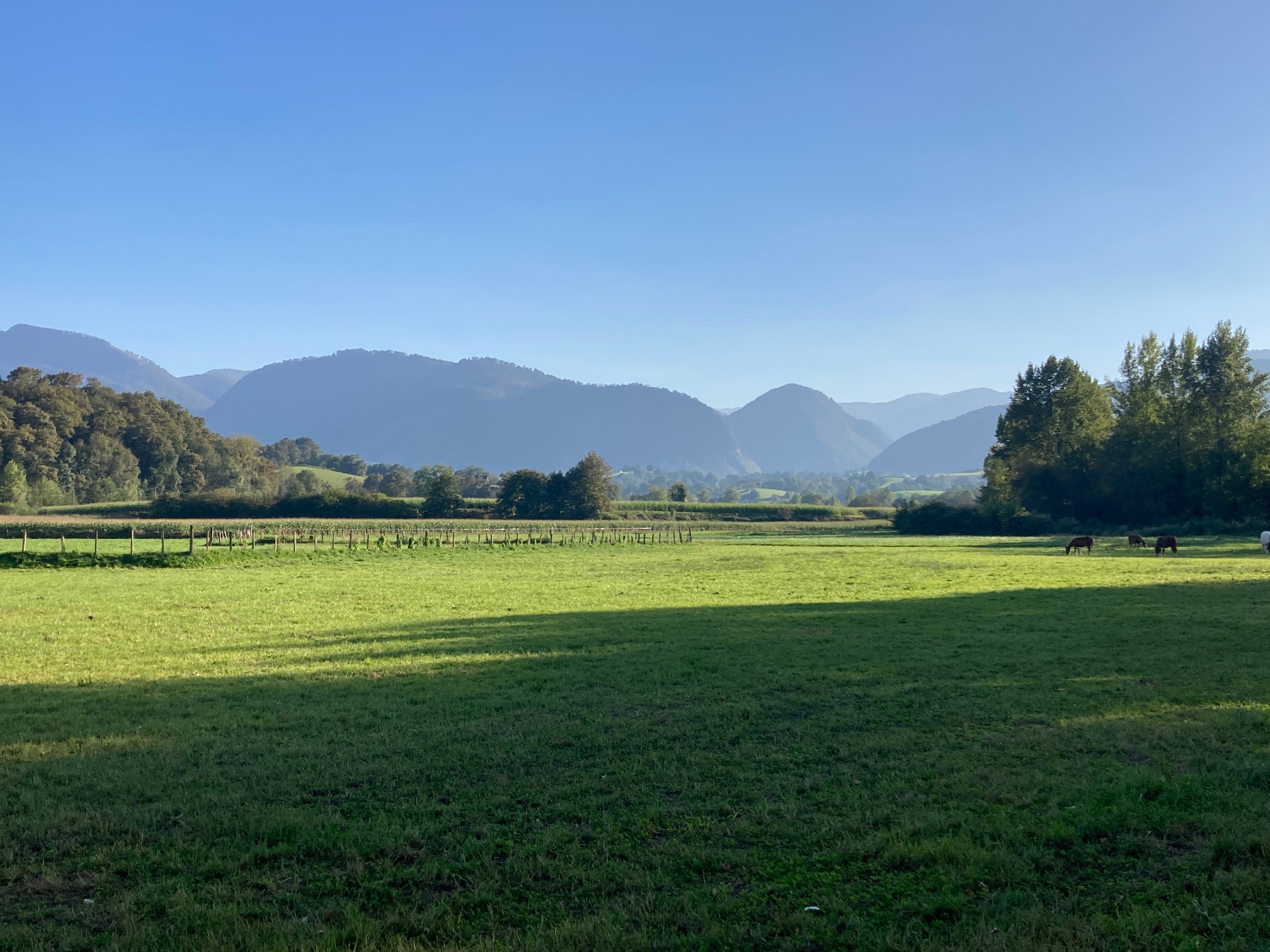 Chez Claire - Terre en Béarn