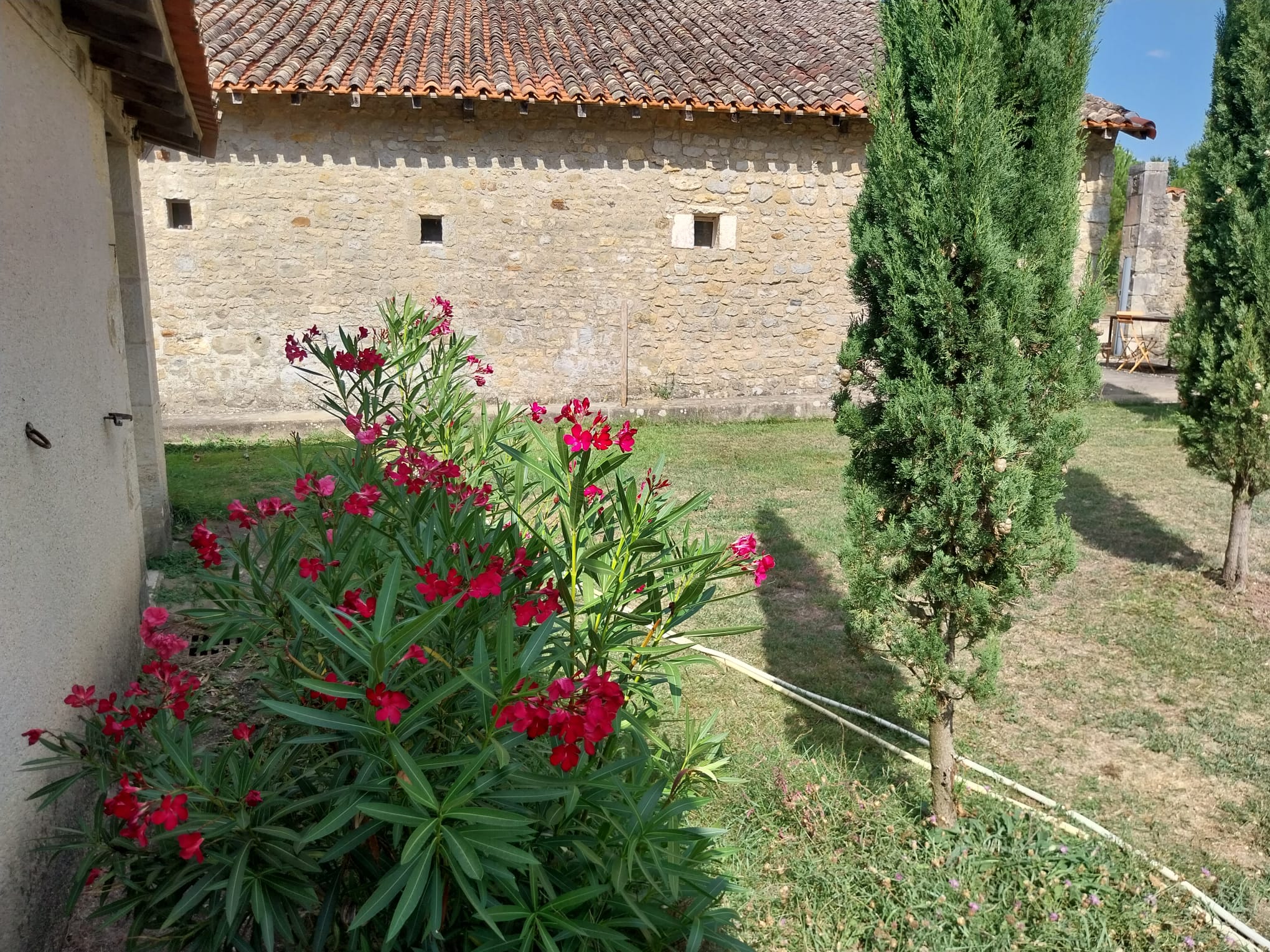 Domaine d'Ancia, Anché - photo 7