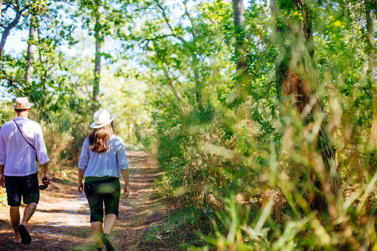 Les Près-Salès d'Arès et de Lège - Réserve Naturelle, Lège-Cap-Ferret - photo 2