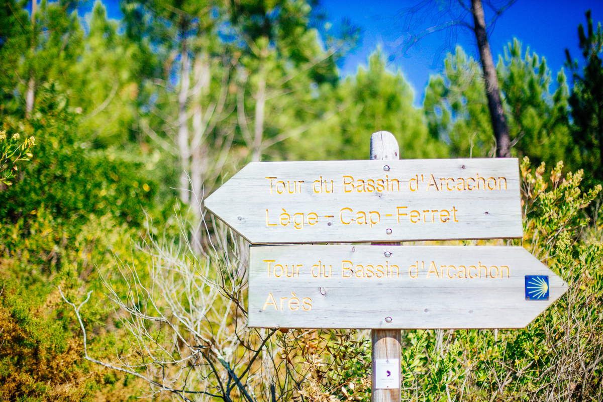 Les Près-Salès d'Arès et de Lège - Réserve Naturelle, Lège-Cap-Ferret - photo 7