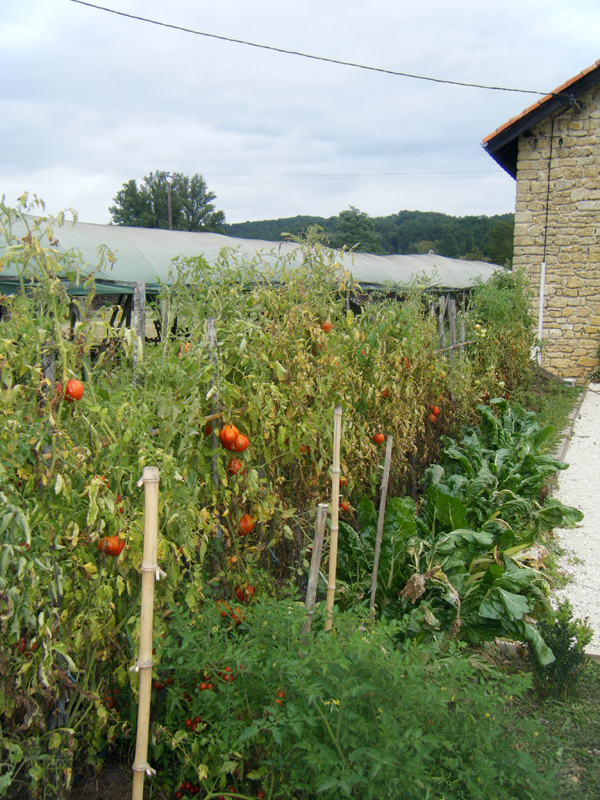 Gîte Du Priolat, Saint-Cyprien - photo 5
